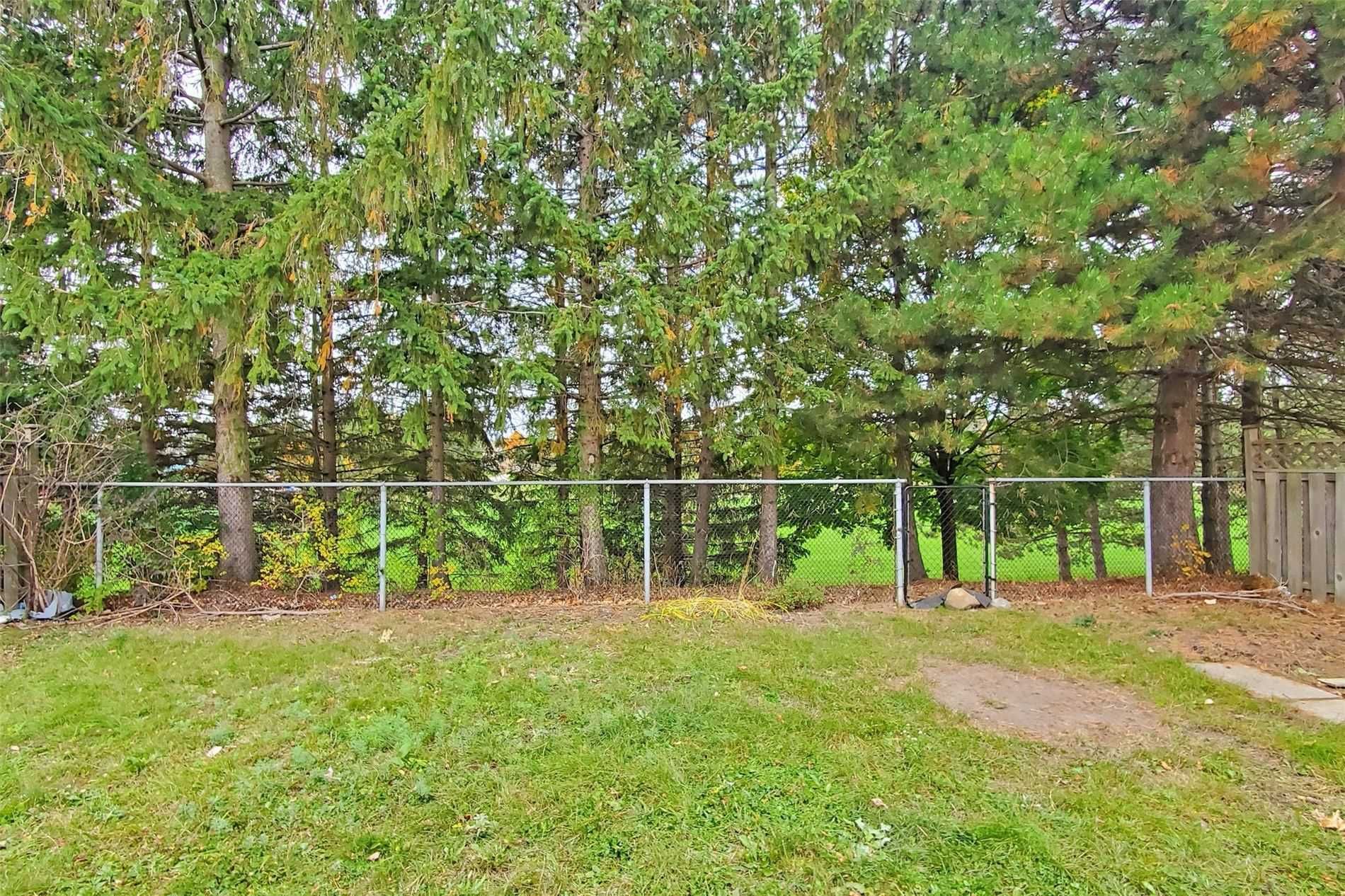 24 Featherstone Ave · Photo 16