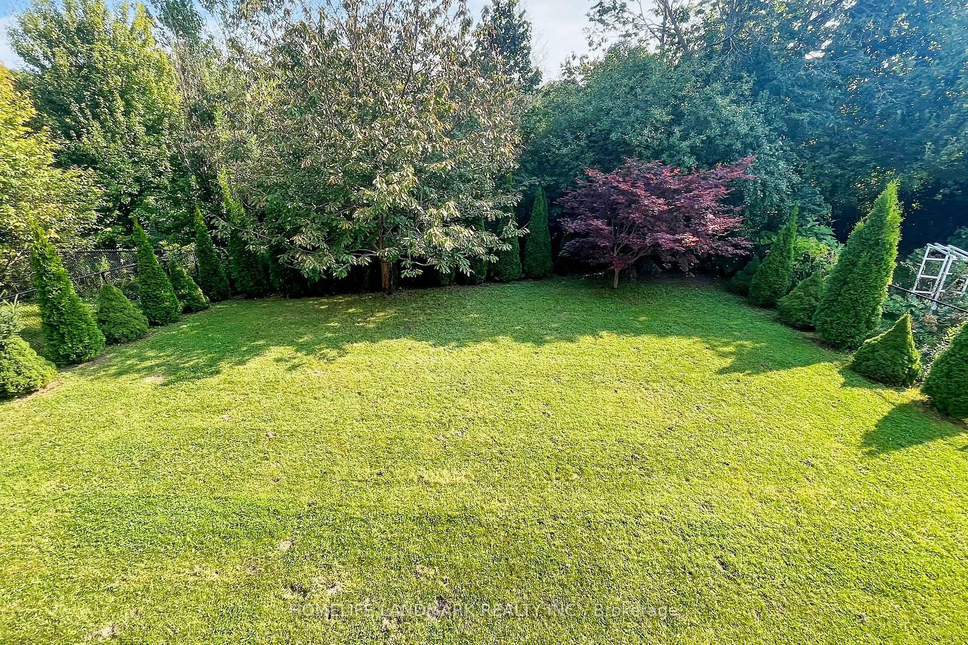 59 Alpaca Dr · Photo 39