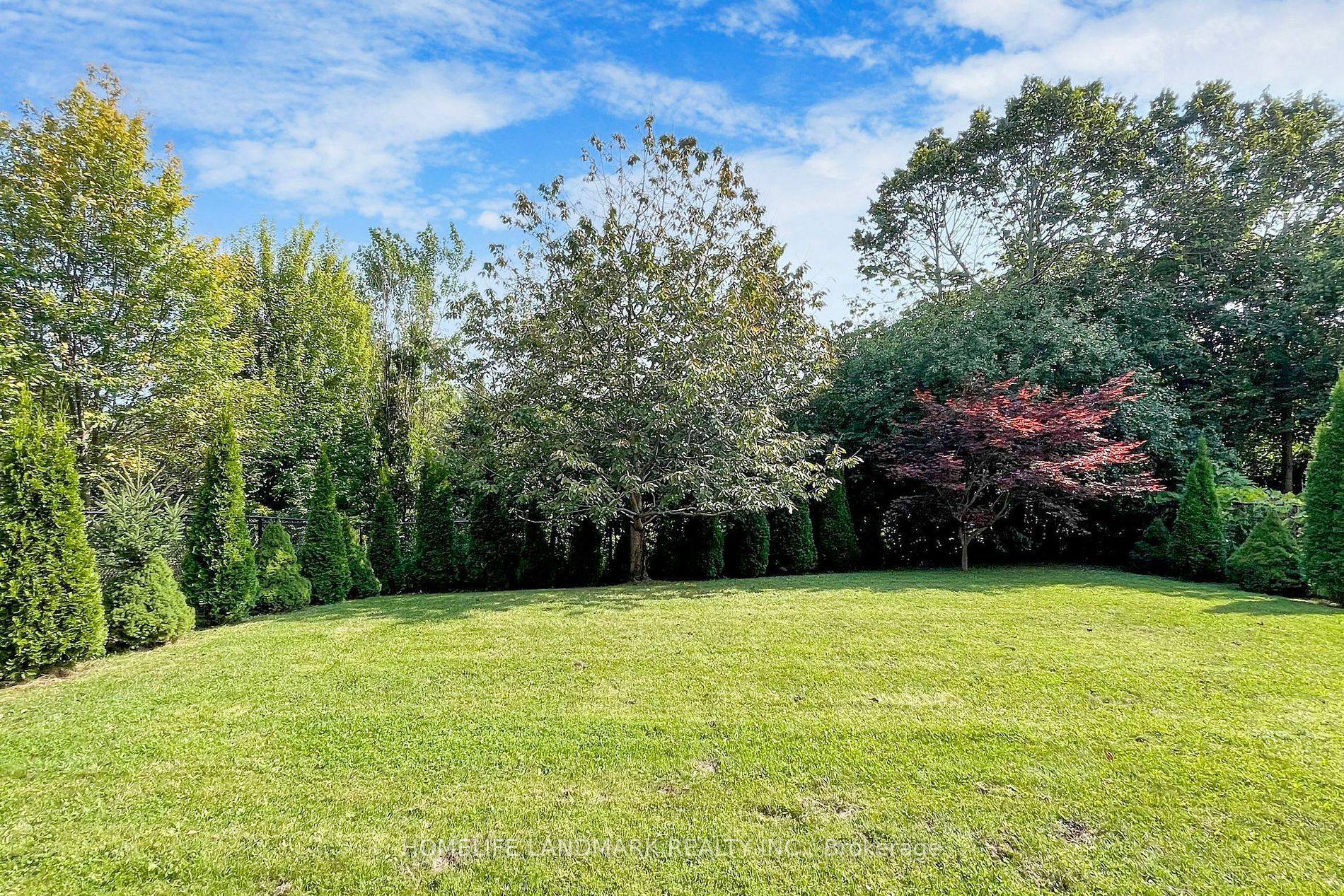 59 Alpaca Dr · Photo 40